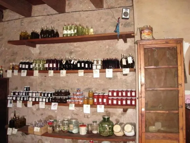 Mas Mitjavila Turismo Rural Guest House Ogassa Spain